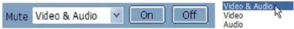 Mute Video & Audio On Off Video & Audio Video Audio