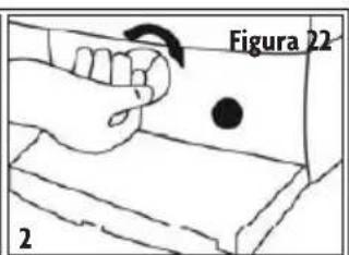 Figura 22 2