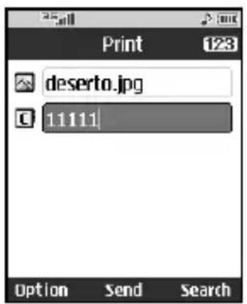 Print 123 deserto.jpg 11111 Option Send Search