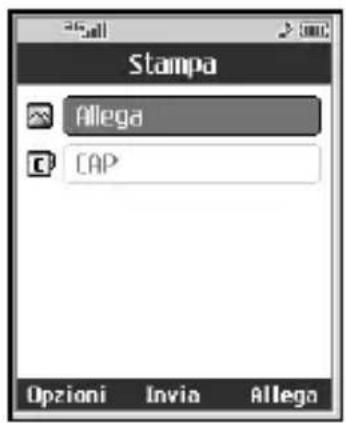 Stampa Allega CAP Opzioni Invia Allega