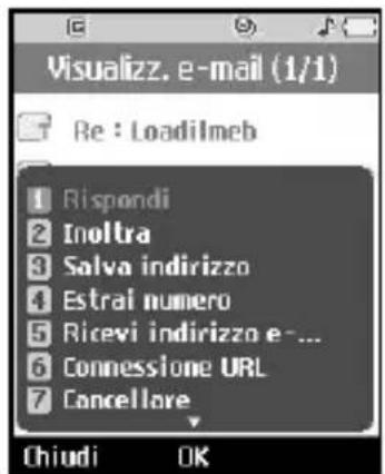Visualizz. e-mail (1/1) Re : Loadilmeb Rispondi Inoltra Salva indirizzo Estrai numero Ricevi indirizzo e... Connessione URL Cancellare Chiudi OK