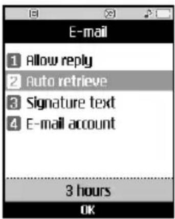 E-mail 1 Allow reply 2 Auto retrieve 3 Signature text 4 E-mail account 3 hours OK