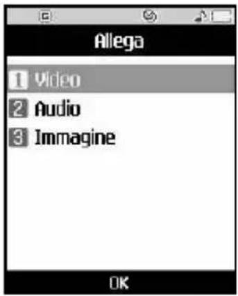 Allega 1 Video 2 Audio 3 Immagine OK