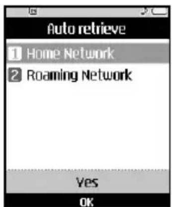 Auto retrieve 1 Home Network 2 Roaming Network Yes OK
