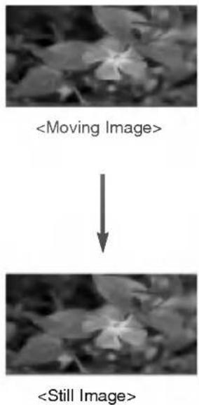 ↓