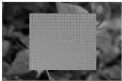 LG AN110W-JD - When an image appears on the screen, check if it is in focus and fits the screen. - 1