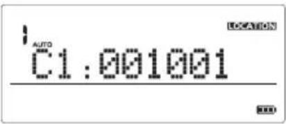 AUTO C1:001001 LOCATION XXX