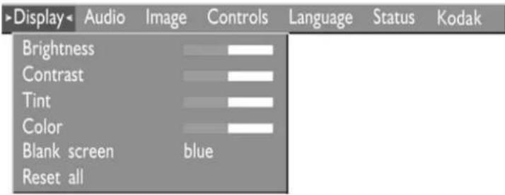 Display Audio Image Controls Language Status Kodak Brightness Contrast Tint Color Blank screen blue Reset all