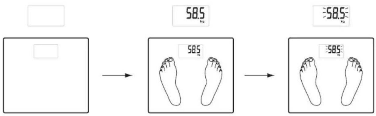 58.5 kg 58.5 kg 58.5 kg