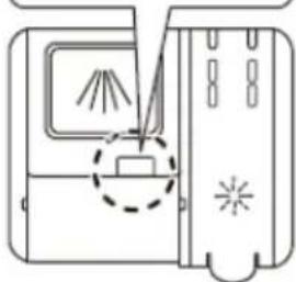 AMICA EGSPV 593 910 - Fill the detergent dispenser - 3