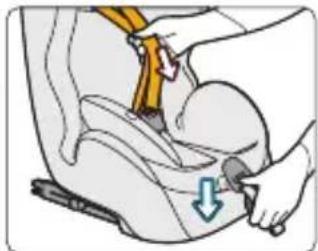 Joycare Sicurofix JC-1292 - Attachez votre enfant en utilisant le harnais - 1