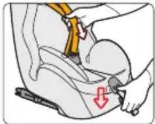 Illustration of a person using a tool to adjust or install a seatbelt, with a red arrow indicating the down force (no text or symbols present)