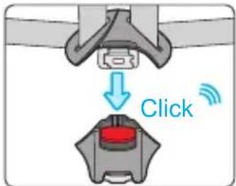 Click
