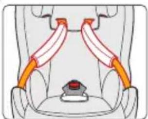 Anatomical diagram of pelvic and hip joint structures with orange bands indicating different regions (no text or labels)