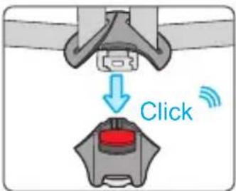 Click