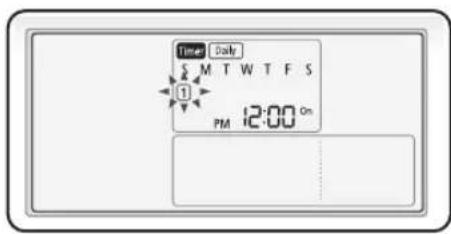 Time Daily $ M T W T F S 1 PM 12:00 On