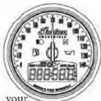 Indian Chief Vintage (2012) - Indicator Lights - 1