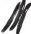 HITACHI R-SF48AMJ - Food which are not suitable for storage - 5