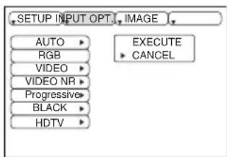 SETUP INPUT OPT. IMAGE AUTO RGB VIDEO VIDEO NR Progressive BLACK HDTV EXECUTE CANCEL