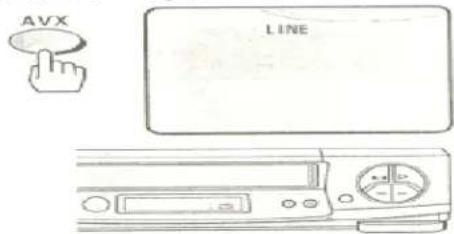 AVX LINE