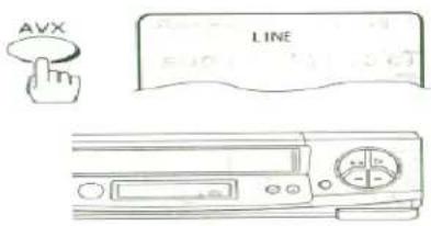 AVX LINE