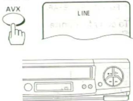 AVX LINE