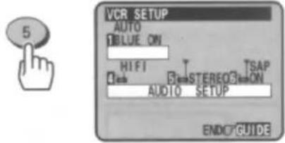 VCR SETUP AUTO BLUE ON HIFI T STEREO ON TSAP AUDIO SETUP ENDC GUIDE