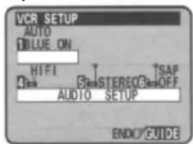 VCR SETUP AUTO BLUE ON HIFI STEREO TSAP AUDIO SETUP ENDO GUIDE