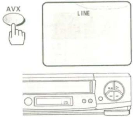 AVX LINE