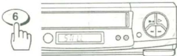 6 5.0 L.L