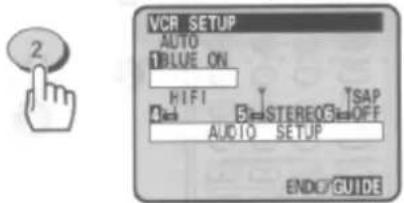 VCR SETUP AUTO BLUE ON HIFI STEREOG TSAP AUDIO SETUP ENDO GUIDE