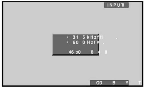 : 31 5 kHzF H : 60 0 Hzf V 46 x0 8 4 0 INPUT OD B Y T