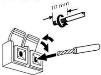 10 mm