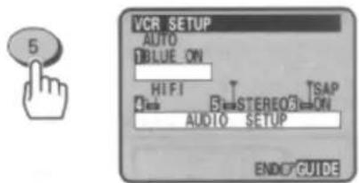 VCR SETUP AUTO BLUE_ON HIFI T STEREO3 ON TSAP AUDIO SETUP ENDC GUIDE
