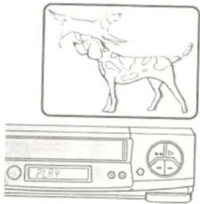 HITACHI VT-FX631A - • To copy from one VCR to another VCR - 3