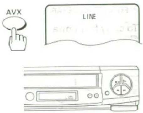 AVX LINE