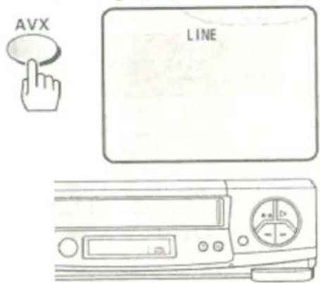 AVX LINE