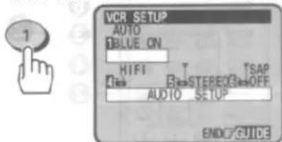 VCR SETUP AUTO BLUE_ON HIFI T TSAP Audio SETUP ENDC GUIDE