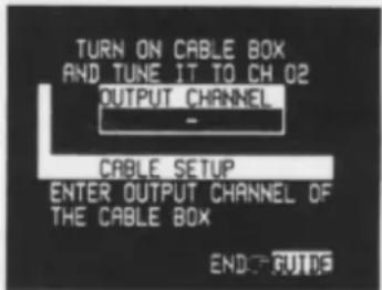 TURN ON CABLE BOX AND TUNE IT TO CH 02 OUTPUT CHANNEL - CABLE SETUP ENTER OUTPUT CHANNEL OF THE CABLE BOX ENDUPUTS
