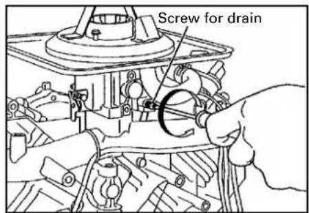 Screw for drain