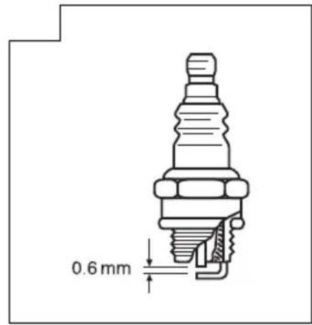 0.6 mm