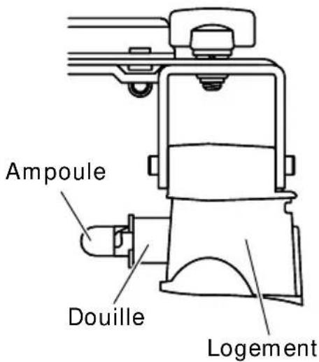 Ampoule Douille Logement