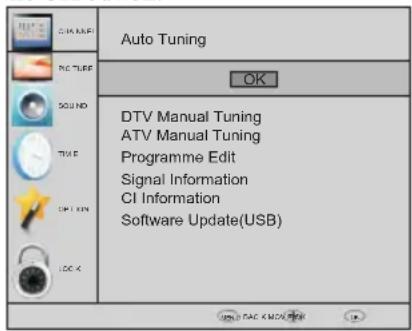 Auto Tuning OK DTV Manual Tuning ATV Manual Tuning Programme Edit Signal Information CI Information Software Update(USB)