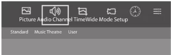 Picture Audio Channel TimeWide Mode Setup Standard Music Theatre User