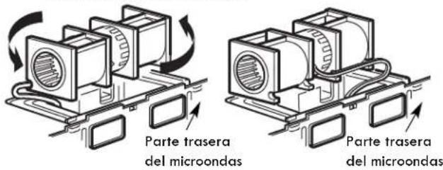 Parte trasera del microondas Parte trasera del microondas
