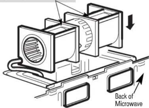 Back of Microwave