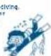 FESTINA F6561 - IFM6W70IFM6W70 - 3