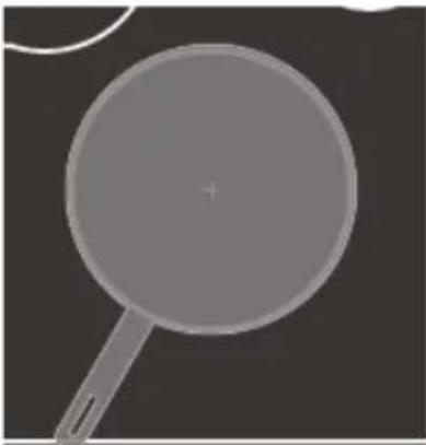 Foster 7391 245 - la cuisson par induction - 2