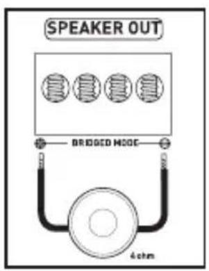 SPEAKER OUT BRIGGED MODE 4ohm