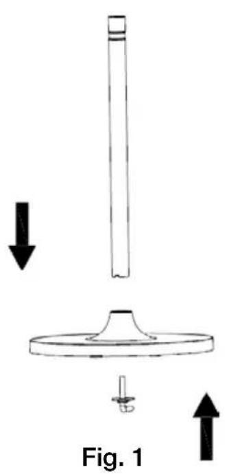Fig. 1